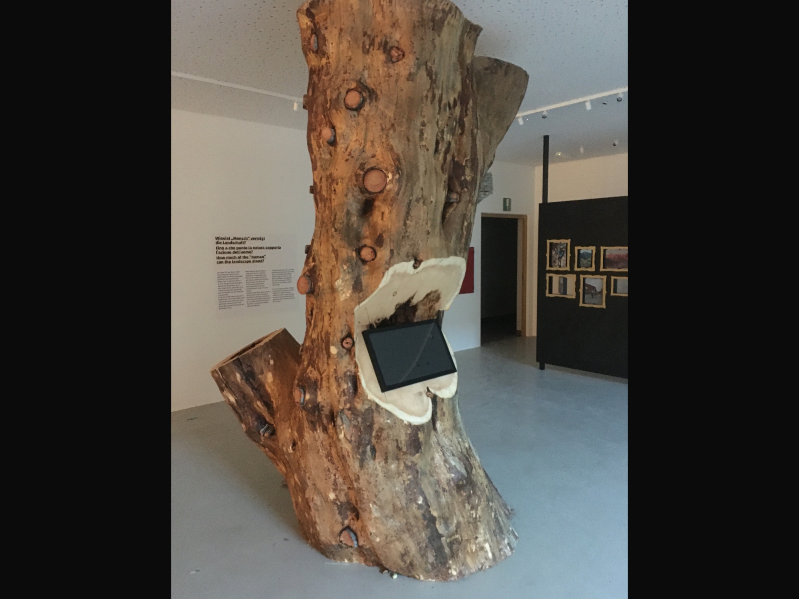 Naturparkhaus Rosengarten-Schlern - 3D Wood three dimensional thinking