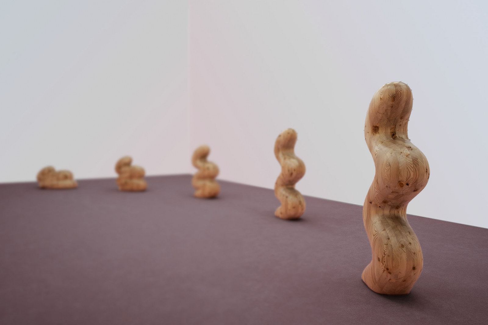 Claudia Comte - 3D Wood three dimensional thinking