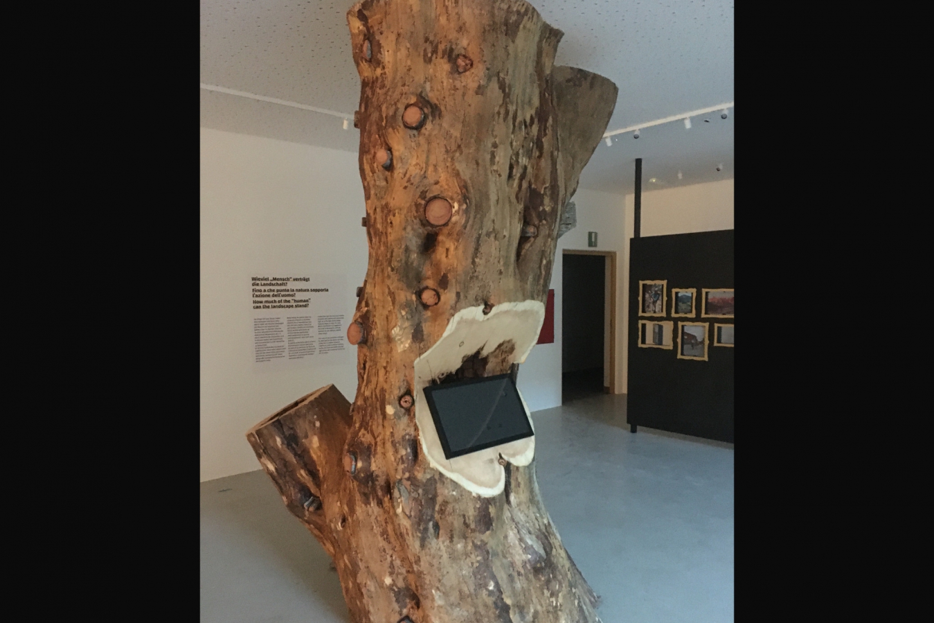 Naturparkhaus Rosengarten-Schlern - 3D Wood three dimensional thinking