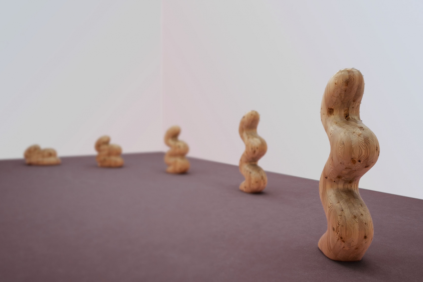 Claudia Comte - 3D Wood three dimensional thinking